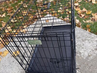 Dog Crate