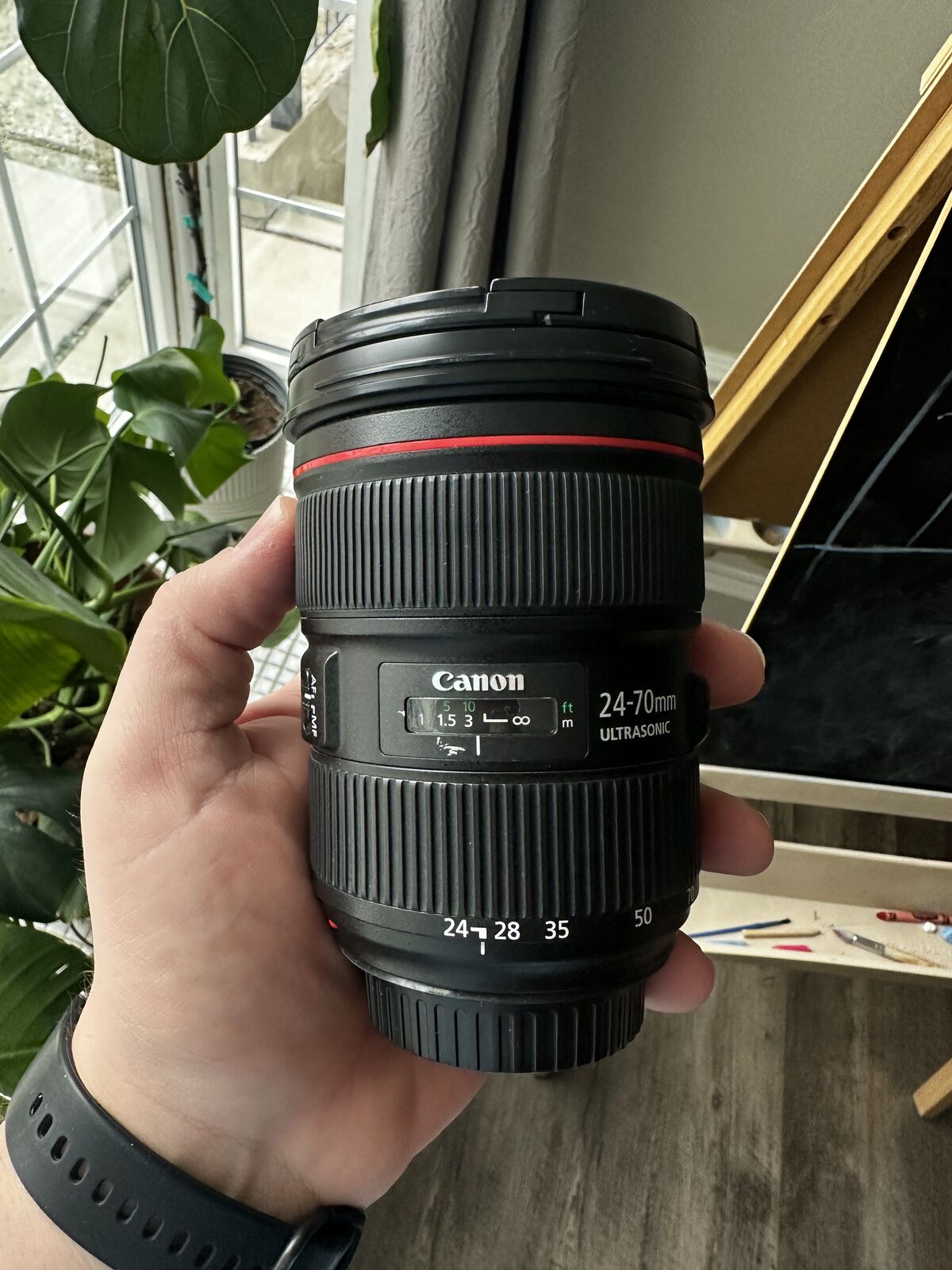Canon EF L Series 24-70mm 2.8