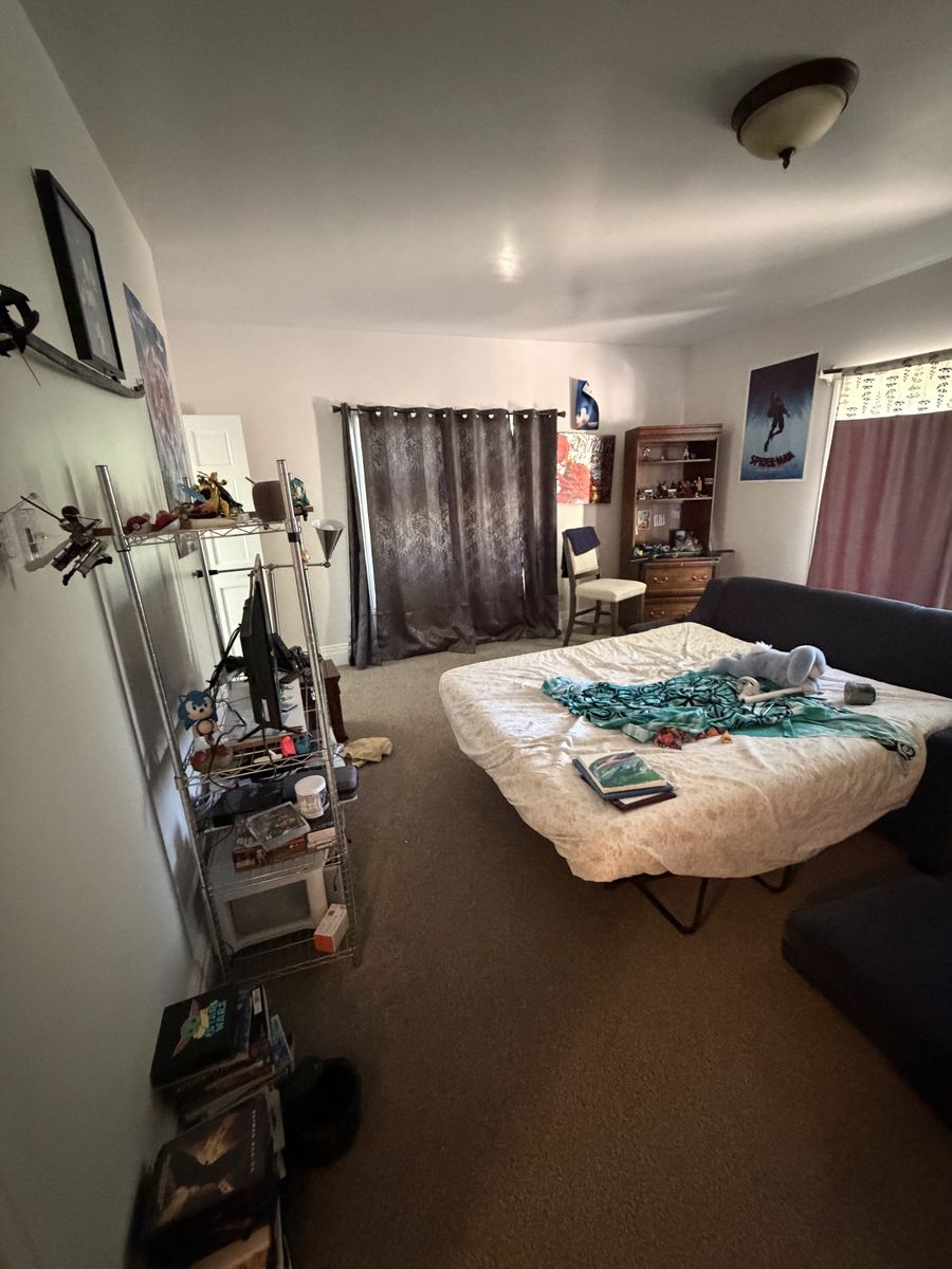 Main image 7