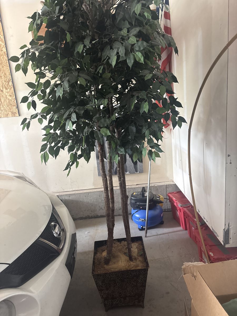 Artificial indoor tree
