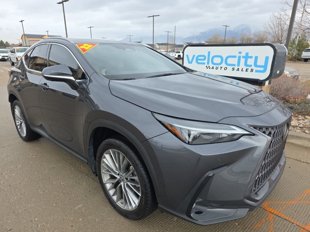2022 Lexus NX 350 Luxury