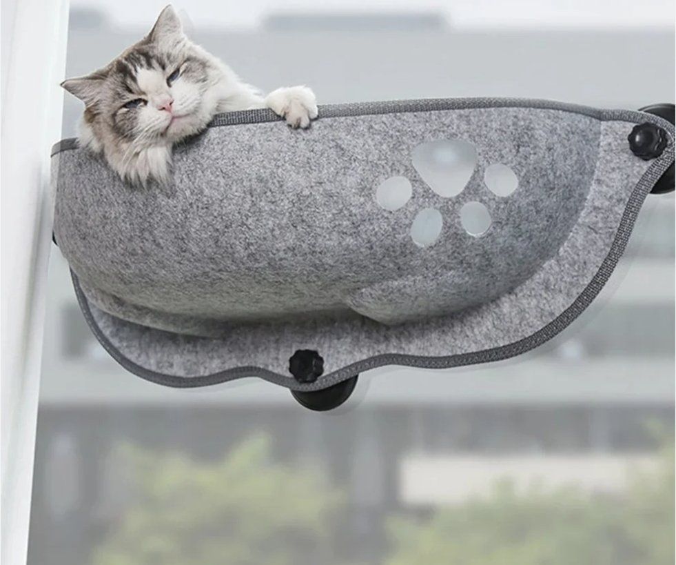 Perch Cat Window Hammock lounge sunbathe