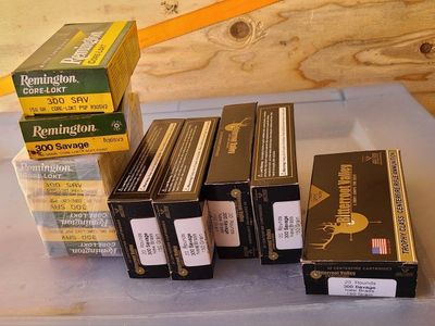 300 Savage ammo lot