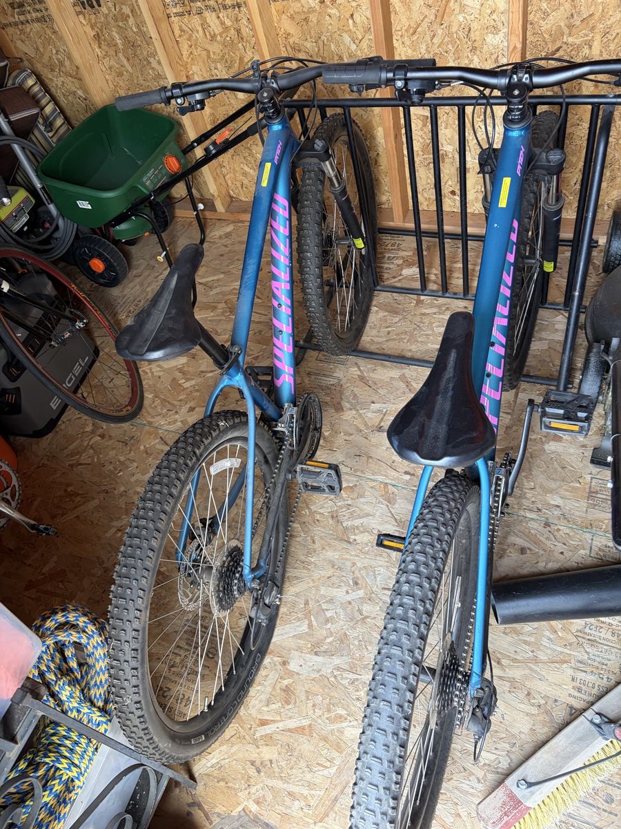 Specialized Pitch