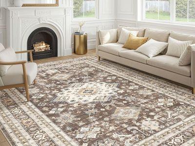 BRAND NEW Vintage Living Room Area Rug 8x10 - Large Soft Washable Oriental Traditional Distressed Farmhouse