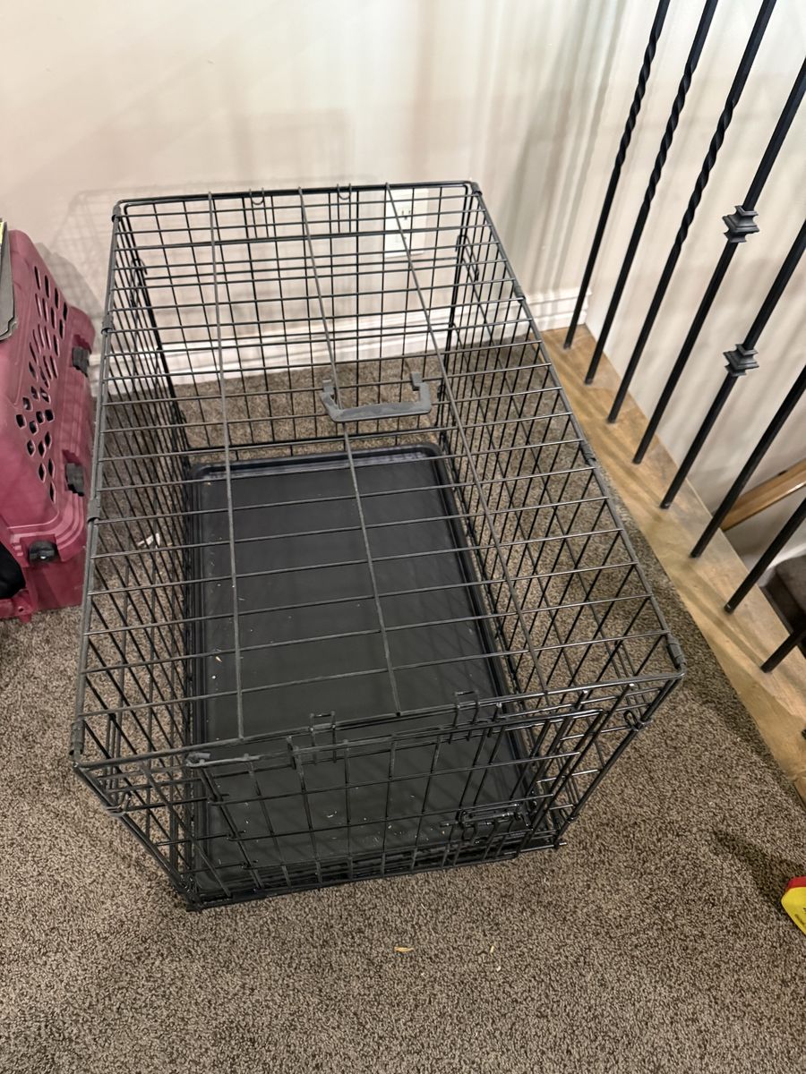 Wire dog kennel