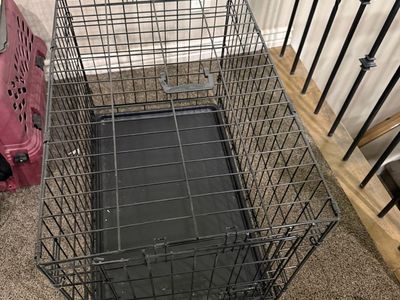 Wire dog kennel