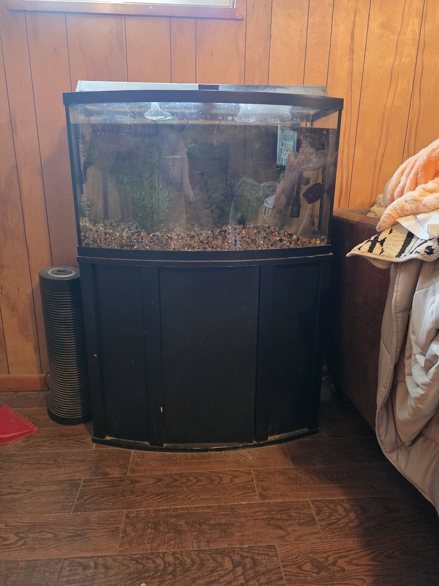 54 Gal Curved Fish Tank