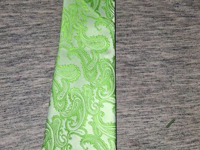 Green Paisley Men's Tie - Classic Patterned Necktie