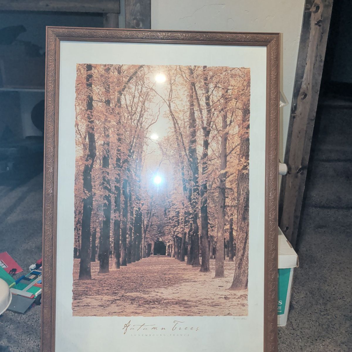 Autumn Trees by Rosanne Olson