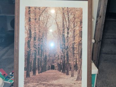 Autumn Trees by Rosanne Olson