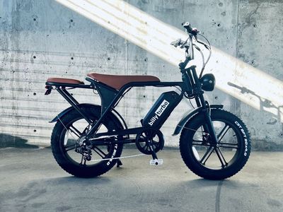 Billy Turbo E-bike ($900 off)