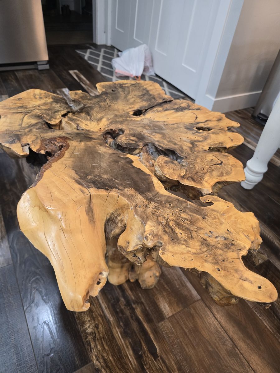 Mexican Buckeye burl coffee table