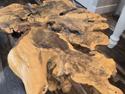 Mexican Buckeye burl coffee table