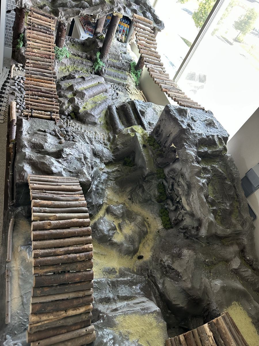 Main image 8