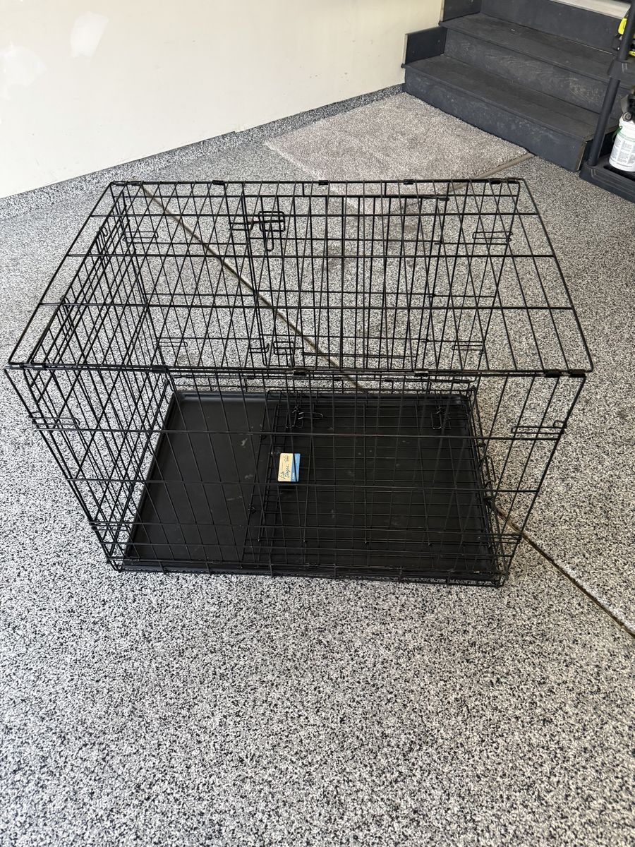 Dog create
