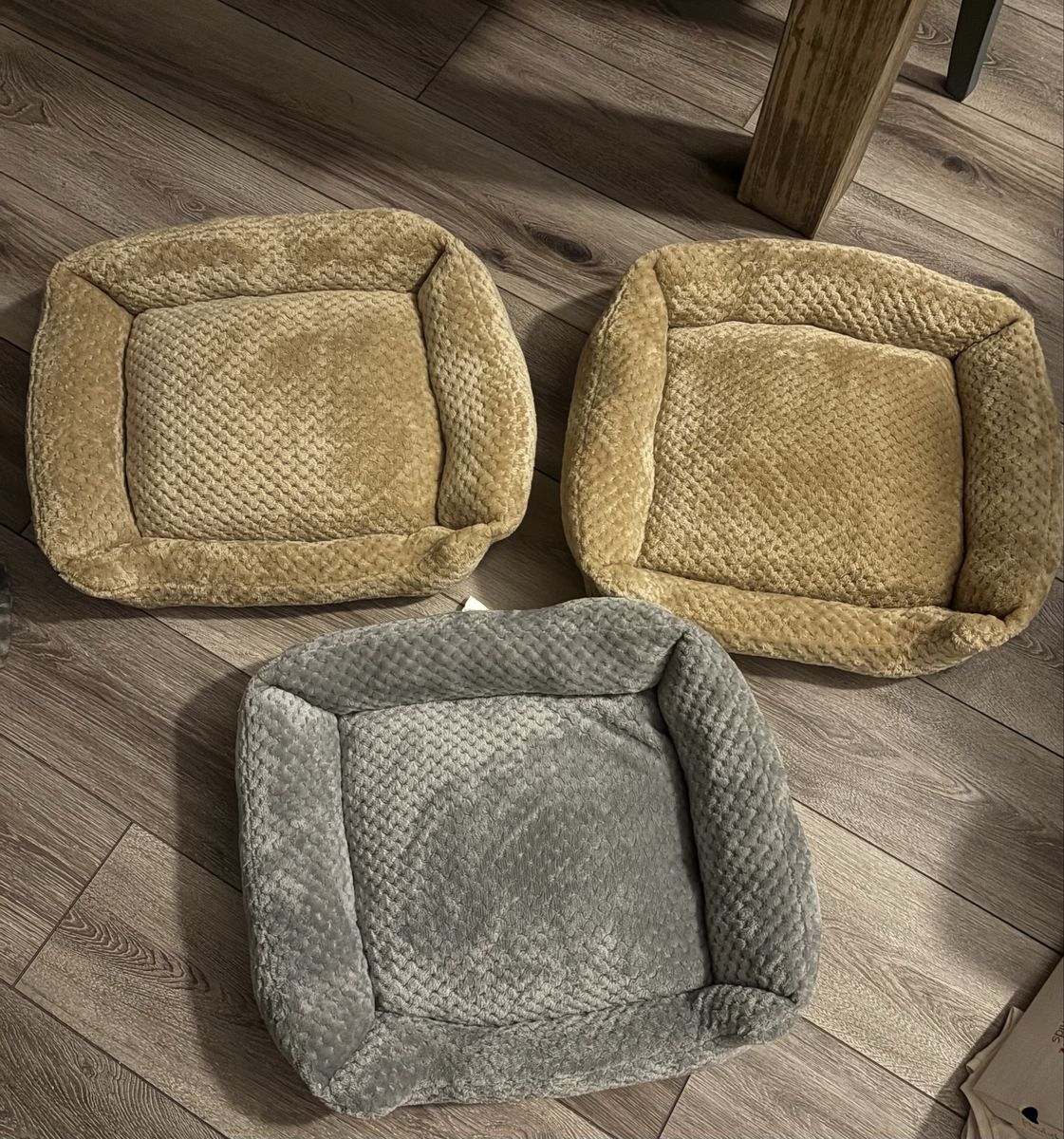Cat Beds