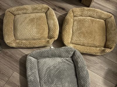 Cat Beds
