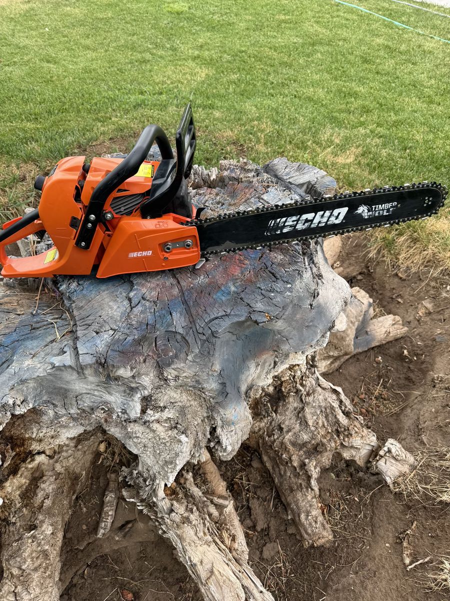 Echo cs590 chainsaw