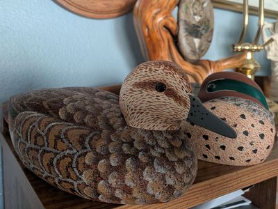 Cork to carve decoys with 4x24x36