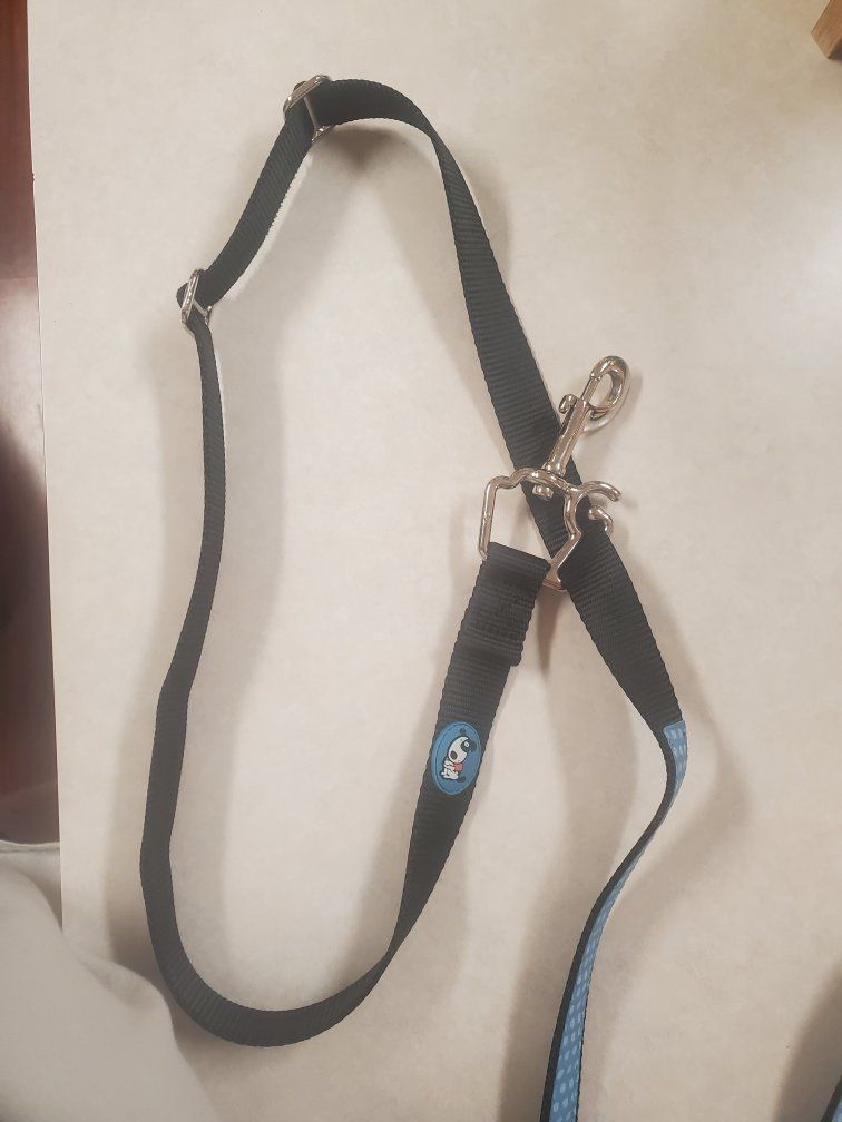 Black and Blue Dog Leash with Metal Clip