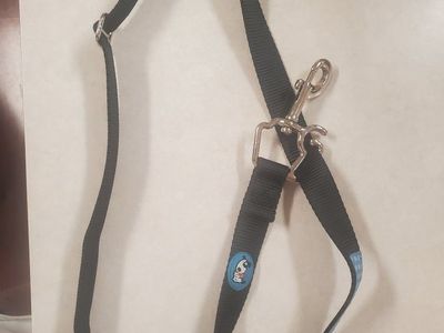 Black and Blue Dog Leash with Metal Clip