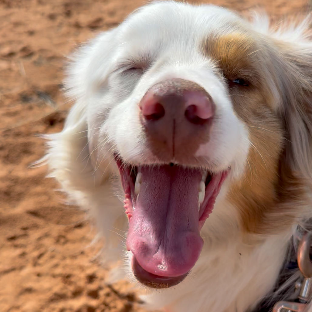 Hello my name is Ryan