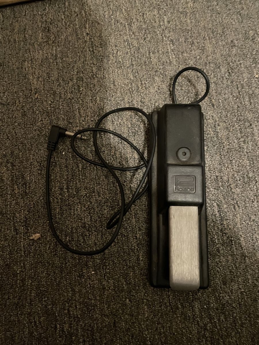 Roland Keyboard Sustain Pedal