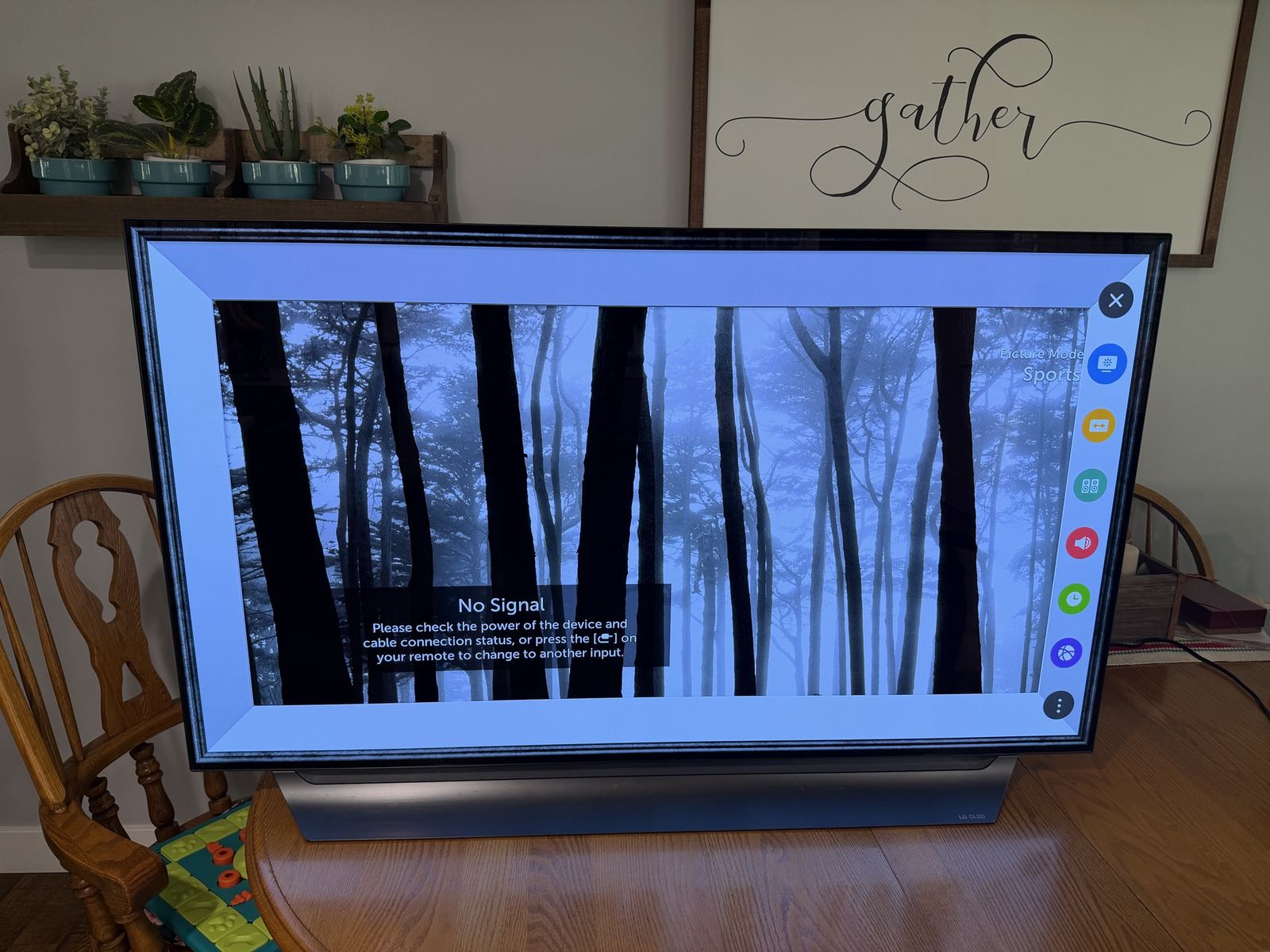 LG OLED 55” TV