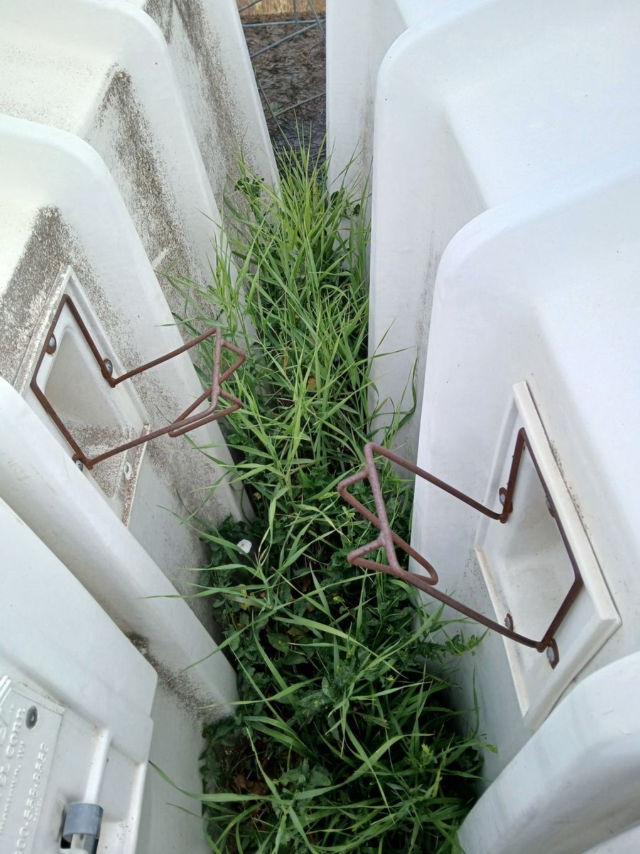 Main image 4