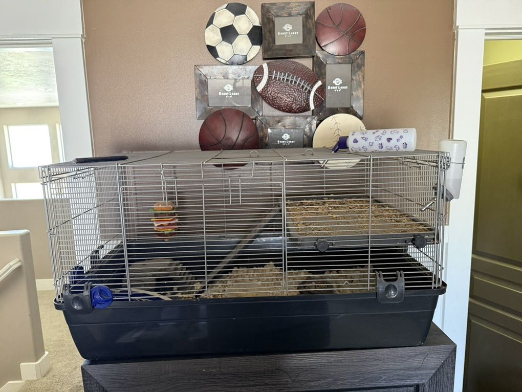 Full Pet Cage Setup For Hamster, Gerbil, Rat, etc