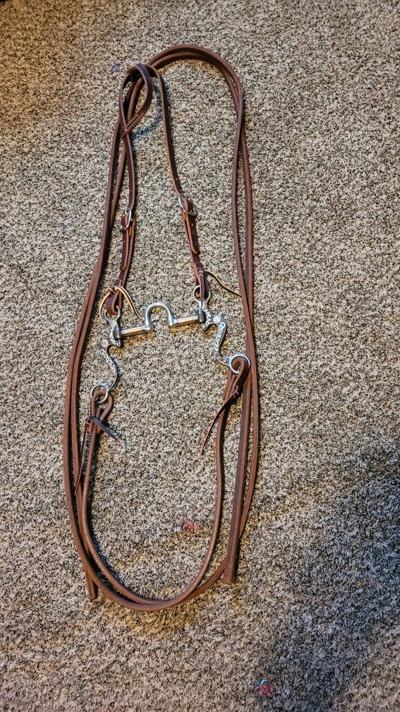 Complete Bridle