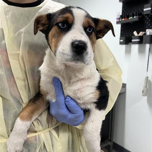 Hello my name is Emma