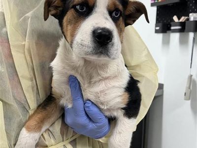 Hello my name is Emma