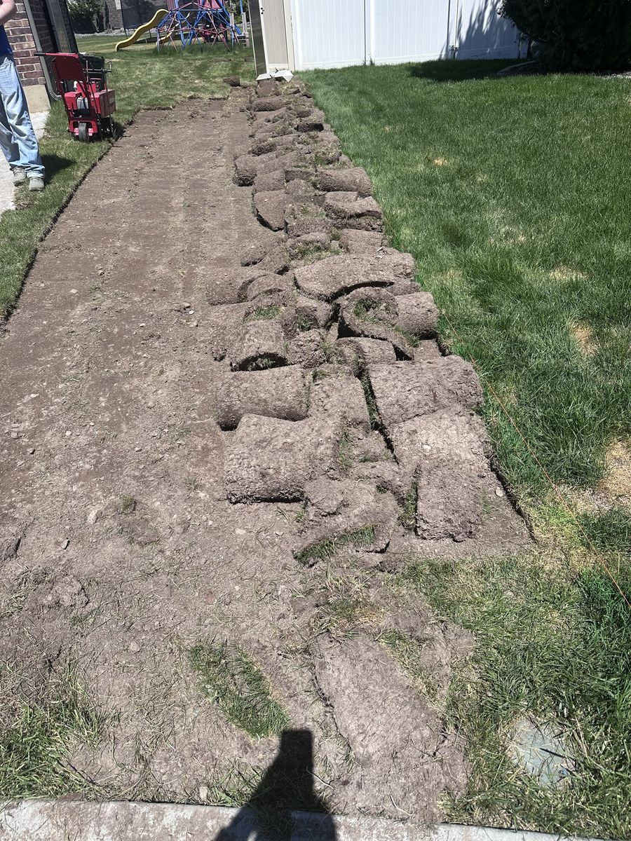 Free Sod available