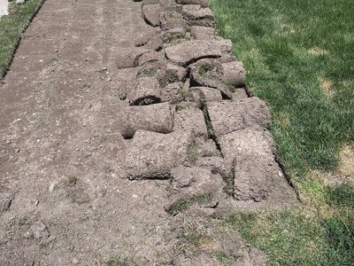 Free Sod available