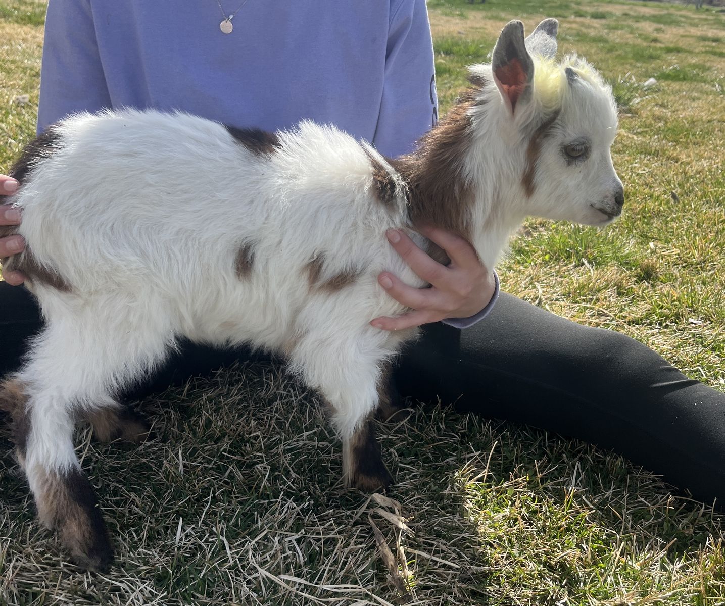 Buckling Bottle Baby
