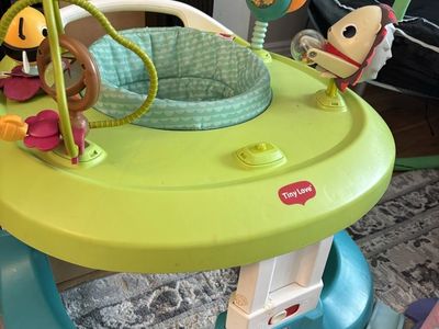Tiny Love Baby Seat.