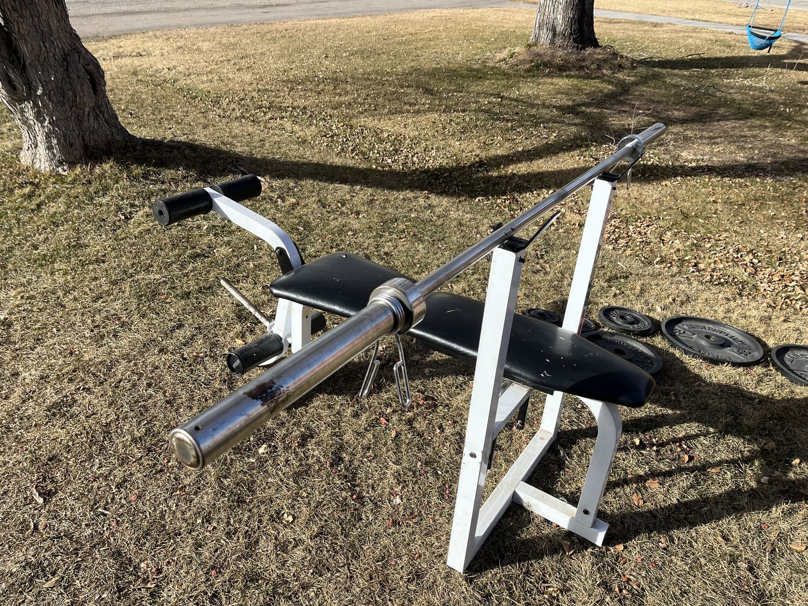 weight bench with bar and weights and clamps