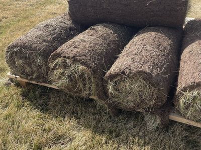 Fine Fescue Sod Blow Out Sale!