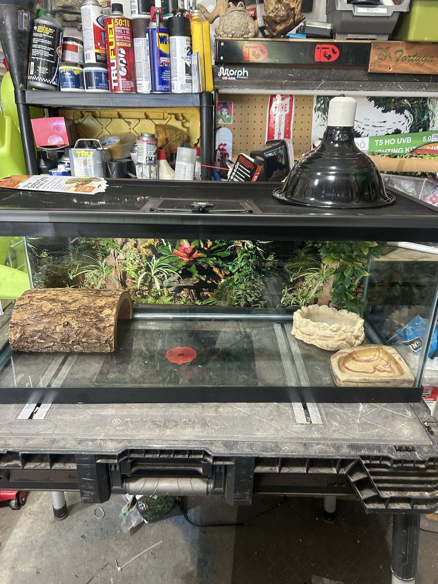 Reptile tank