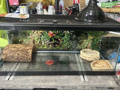 Reptile tank