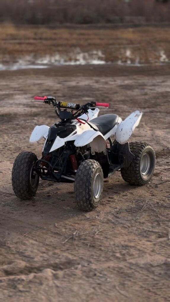 2006 Polaris Predator 90