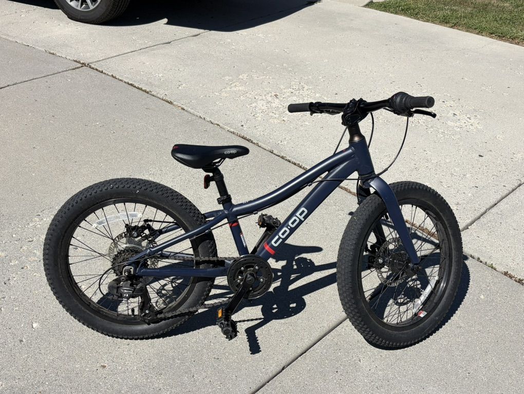 REI Co-op Rev 20 Kids Mountain Bike
