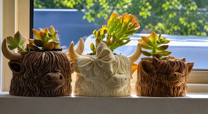 Highland Cow Succulent Planter - Cute Farmhouse Style Pot for Small Plants