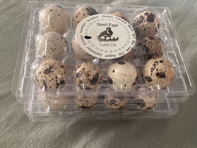 Unwashed Quail Eggs