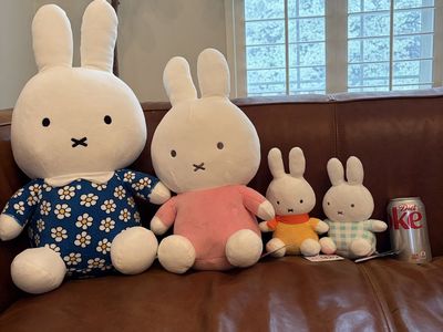 MIFFY family