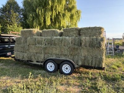 Grass hay, small bales, high quality