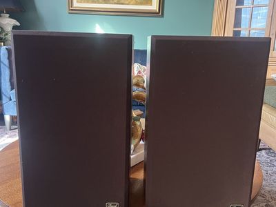 Bozak LS200 speakers