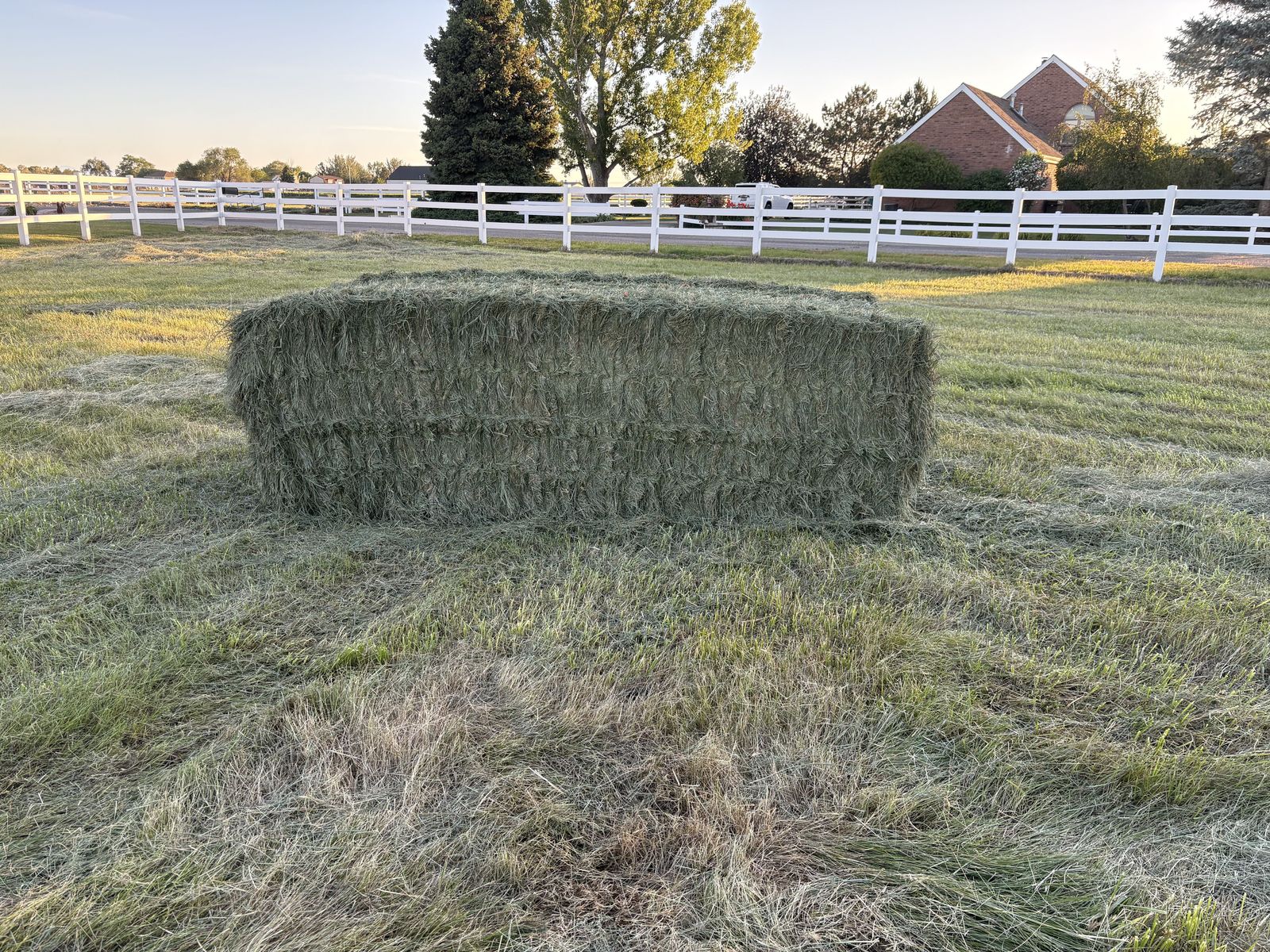 Grass Hay - 3x4x8